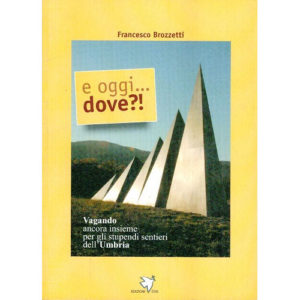 205-1248 Edizioni CVS – E Oggi… Dove?! – Libro