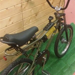 Bicicletta Torpado0510